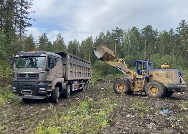 Из лесов Красноярского края вывезли почти 4 тысячи кубометров мусора