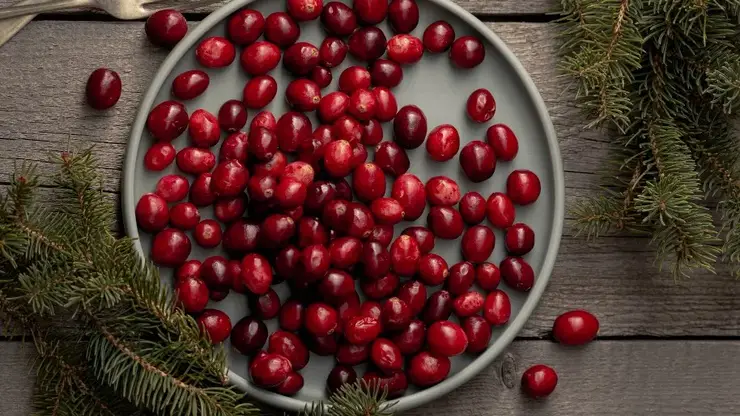В Роспотребнадзоре красноярцам рассказали о пользе клюквы