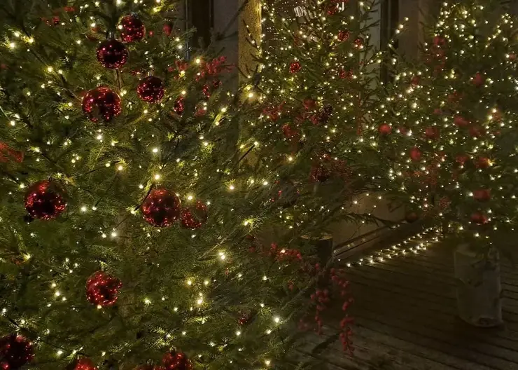 Омская область поборется за звание лучших «Ёлок России»