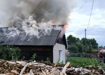 14 овец стали жертвами пожара в Томской области