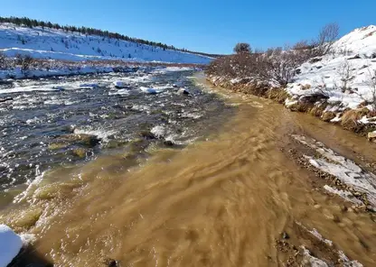 Золотодобывающая компания «Сисим» загрязняла реки в Красноярском крае