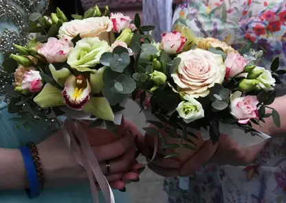 RIA_5923764.LR