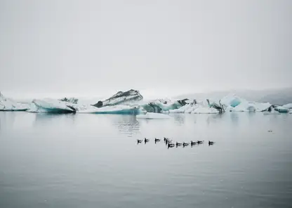 tourist-watches-glacier-water-iceland