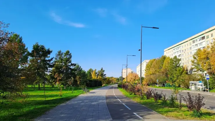 погода парк сквер деревья природа