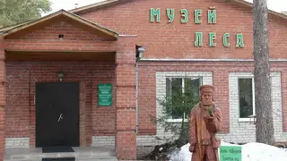 Ремонт томского музея леса планируется завершить в 2024 году Ремонт томского музея леса планируется завершить в 2024 году