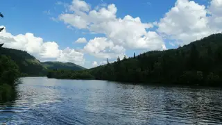 Новую заповедную территорию создадут на севере Красноярского края Новую заповедную территорию создадут на севере Красноярского края