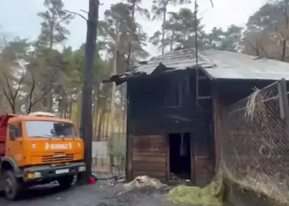 зоопарк новосибирск
