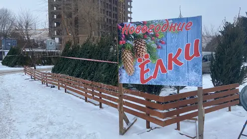 Елочные базары_ЦЕНТР (4)