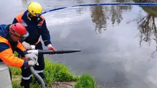 В Красноярске в Енисее обнаружены масляные пятна В Красноярске в Енисее обнаружены масляные пятна