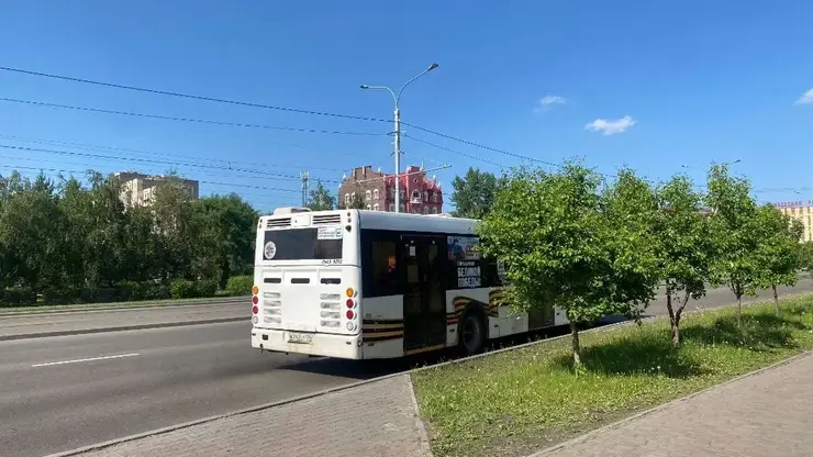 автобус транспорт
