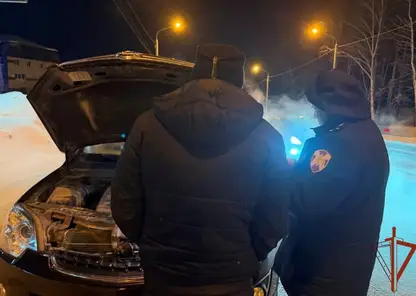 oficerrosgvardiiprishelnapomoshhzhitelyutomskavehkstremalnyjjmoroz12