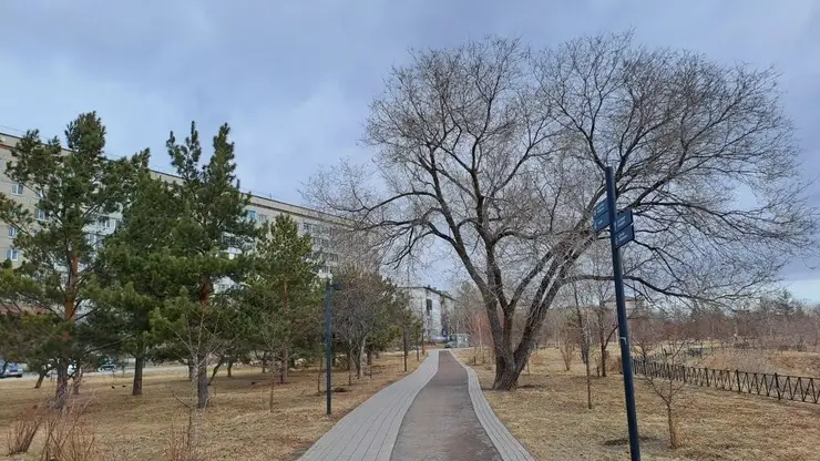 погода сквер деревья лавочка