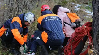 В Емельяновском районе пропал 66-летний грибник В Емельяновском районе пропал 66-летний грибник