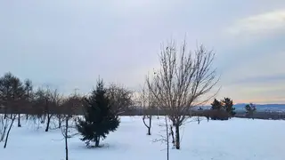 Сильный ветер прогнозируют в Красноярске 8 января Сильный ветер прогнозируют в Красноярске 8 января