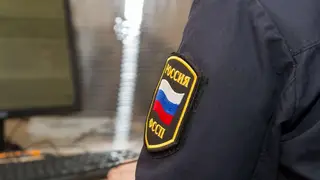 В Красноярском крае мужчина с топором напал на приставов