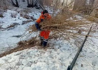 5262953105643475336