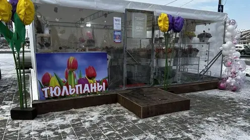 Тюльпаны