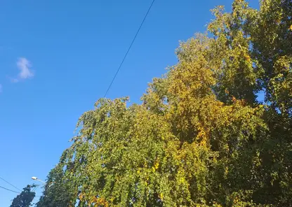 погода осень небо