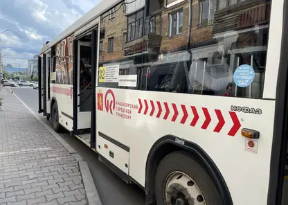 Автобус
