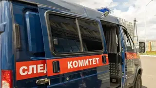 Тела двух пропавших 12-летних девочек найдены на берегу Енисея в разных деревнях Республики Тыва