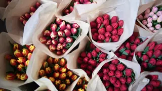 В Красноярском крае началась четырёхдневная рабочая неделя В Красноярском крае началась четырёхдневная рабочая неделя