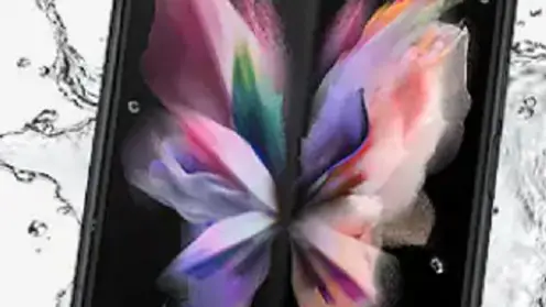 _______