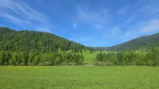 Большой кусок земли в Республике Алтай вернули местным жителям Большой кусок земли в Республике Алтай вернули местным жителям