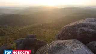 Когда закончатся выходы медведей в Красноярск? Рассказывает эксперт