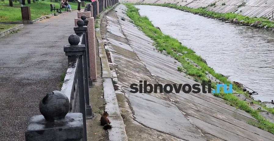 Фото: sibnovosti.ru