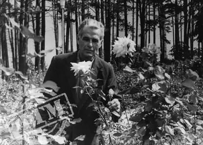 Георгий Владимирович Кирпатовский в розарии. г. Дивногорск. 1970-е гг