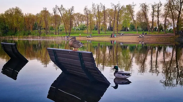 1й