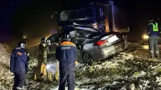 Два человека погибли в лобовом столкновении с грузовиком под Новосибирском
