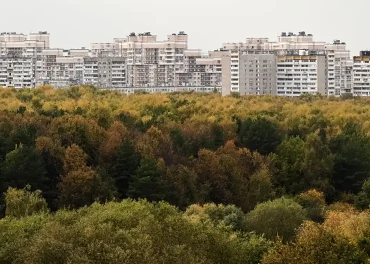 RIA_9257347.LR