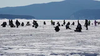 На Красноярском море более 200 участников соревновались в подледной рыбалке
