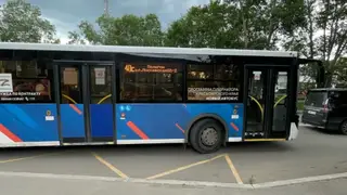 Дачные автобусные маршруты Красноярска сократят до весны