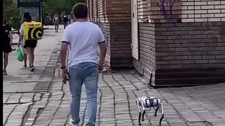 В Красноярске была замечена собака-робот В Красноярске была замечена собака-робот