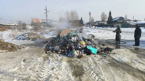 Без названия (6)