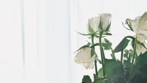 krsksibnovostiru_Опытный_траурный_сервис_организует_достойное_thea-hdc-XDCeQYYmQ3Y-unsplash