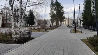 В Бородино Красноярского края обезвредили медведя В Бородино Красноярского края обезвредили медведя