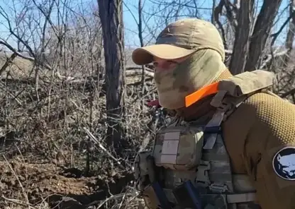 сво