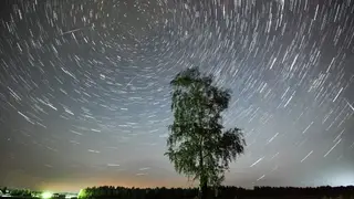 Гороскоп на 21 августа для всех знаков зодиака Гороскоп на 21 августа для всех знаков зодиака