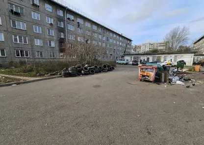 шины