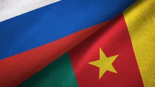 Делегация из Камеруна высоко оценила организацию ММФ БРИКС+