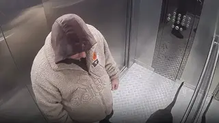 В Красноярске мужчину обвиняют в избиении собаки. Соседи требуют спасти животное