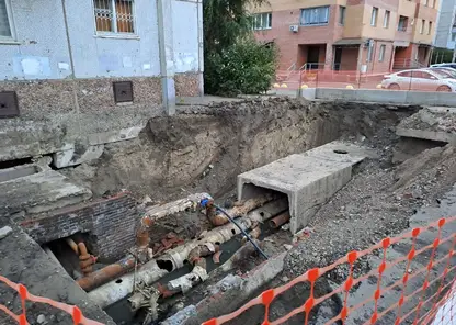 Роща трубы