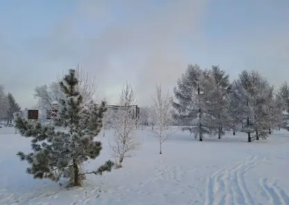 погода мороз снег зима деревья