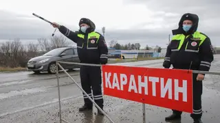 В Красноярском крае ввели карантин по бешенству из-за вспышки в Боготоле В Красноярском крае ввели карантин по бешенству из-за вспышки в Боготоле
