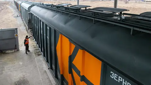 Зерно КрасЖД-2