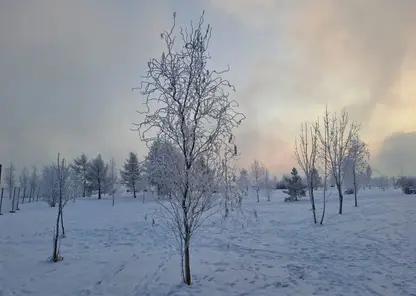 зима мороз погода снег холод