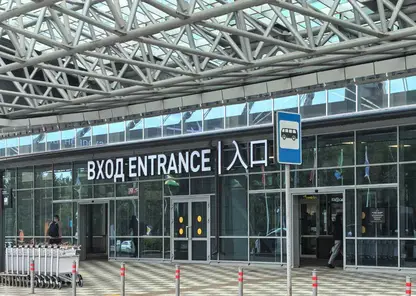 Без названия
